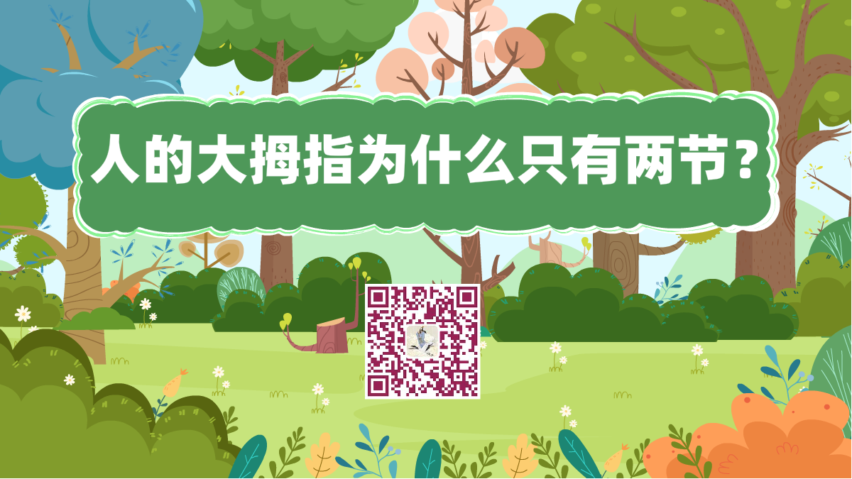 十萬(wàn)個(gè)為什么標(biāo)題(兩節(jié)大拇指)1200.png 十萬(wàn)個(gè)為什么標(biāo)題(兩節(jié)大拇指)1200.png