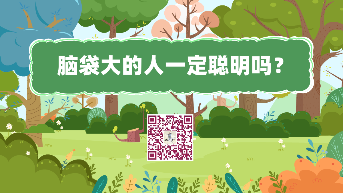 十萬個為什么標題(腦袋大的人一定聰明嗎)1200.png 十萬個為什么標題(腦袋大的人一定聰明嗎)1200.png