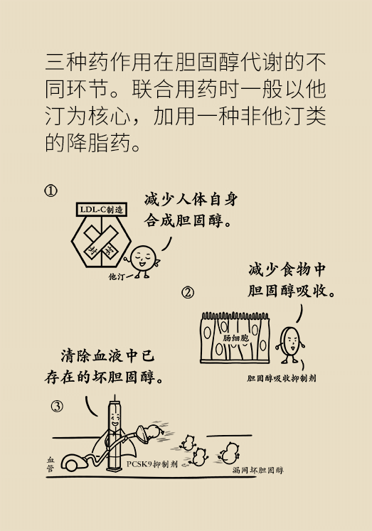 心?？破談?dòng)漫制作