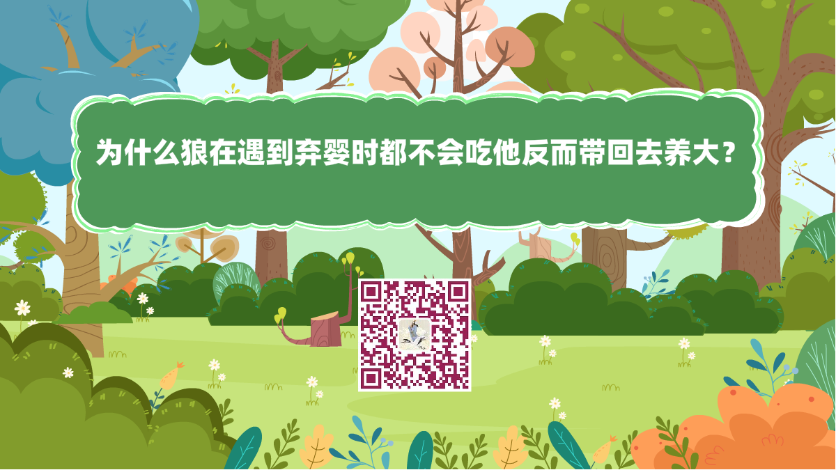 十萬個(gè)為什么標(biāo)題(為什么狼在遇到棄嬰時(shí),都不會(huì)吃他反而帶回去養(yǎng)大?)1200.png 十萬個(gè)為什么標(biāo)題(為什么狼在遇到棄嬰時(shí),都不會(huì)吃他反而帶回去養(yǎng)大?)1200.png