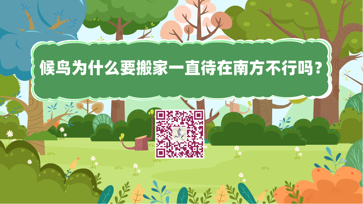 十萬個為什么標(biāo)題(候鳥為什么要搬家一直待在南方不行嗎)1200.png 十萬個為什么標(biāo)題(候鳥為什么要搬家一直待在南方不行嗎)1200.png