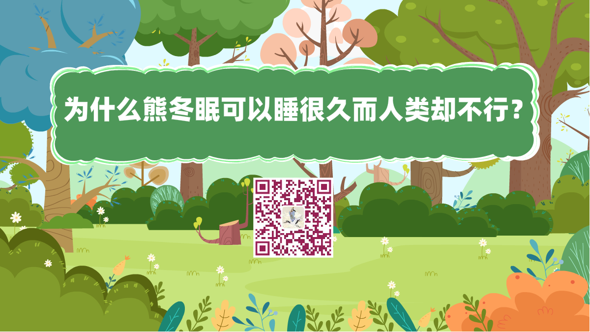 十萬個(gè)為什么標(biāo)題(為什么熊冬眠可以睡很久而人類卻不行?)1200.png 十萬個(gè)為什么標(biāo)題(為什么熊冬眠可以睡很久而人類卻不行?)1200.png