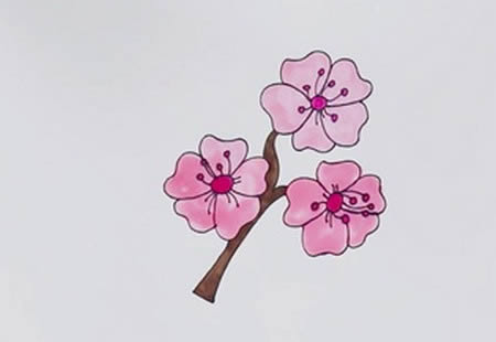 櫻花怎么畫簡(jiǎn)單又漂亮,櫻花簡(jiǎn)筆畫圖片帶顏色