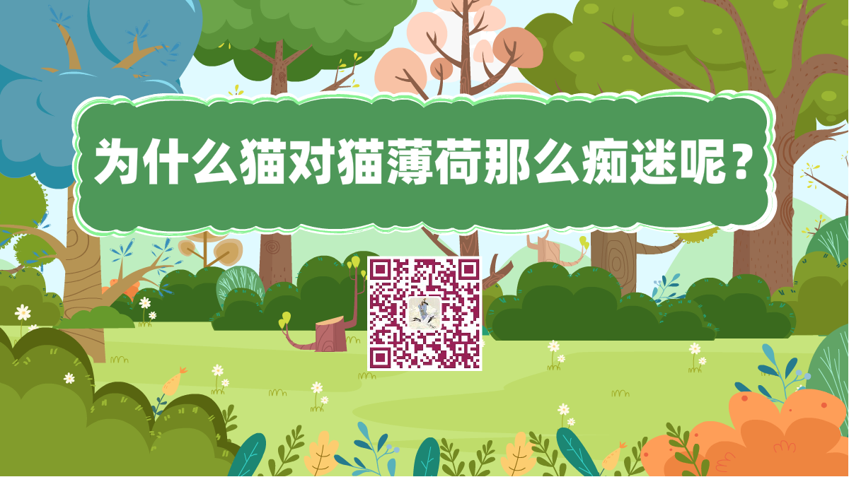 十萬個為什么標題(讓貓癡迷的貓薄荷到底是何方神圣)1200.png 十萬個為什么標題(讓貓癡迷的貓薄荷到底是何方神圣)1200.png