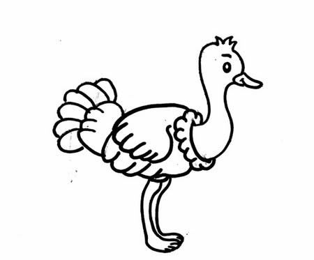 鴕鳥(niǎo)簡(jiǎn)筆畫怎么畫簡(jiǎn)單又好看 帶顏色 步驟圖解