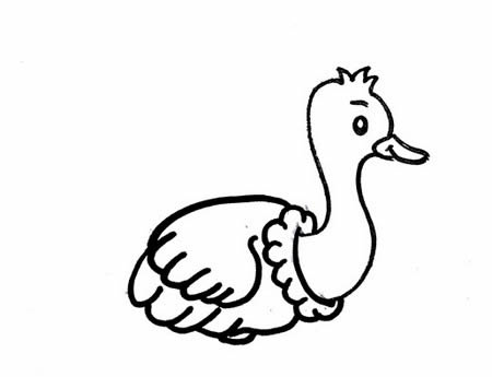 鴕鳥(niǎo)簡(jiǎn)筆畫怎么畫簡(jiǎn)單又好看 帶顏色 步驟圖解