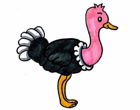 鴕鳥(niǎo)簡(jiǎn)筆畫怎么畫簡(jiǎn)單又好看 帶顏色 步驟圖解