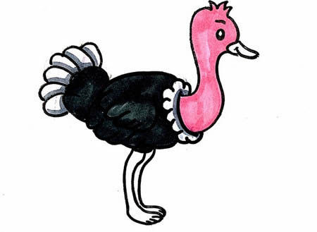 鴕鳥(niǎo)簡(jiǎn)筆畫怎么畫簡(jiǎn)單又好看 帶顏色 步驟圖解