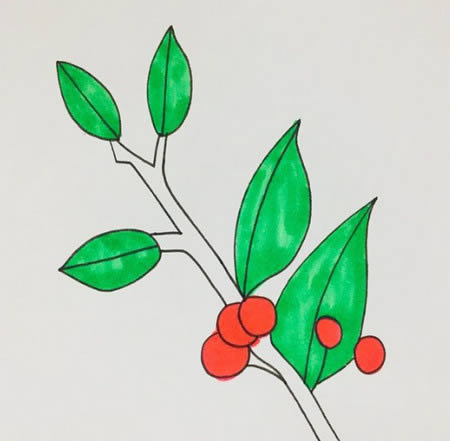 冬青樹(shù)簡(jiǎn)筆畫