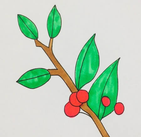 冬青樹(shù)簡(jiǎn)筆畫