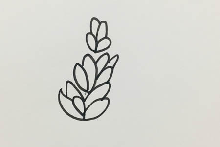 薰衣草簡(jiǎn)筆畫(huà)步驟圖解-薰衣草怎么畫(huà)簡(jiǎn)單又漂亮