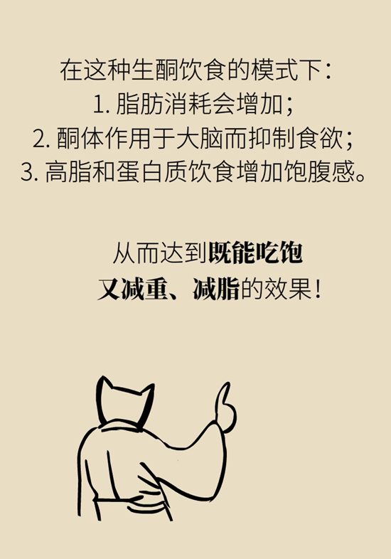 生酮飲食減肥科普動(dòng)漫制作