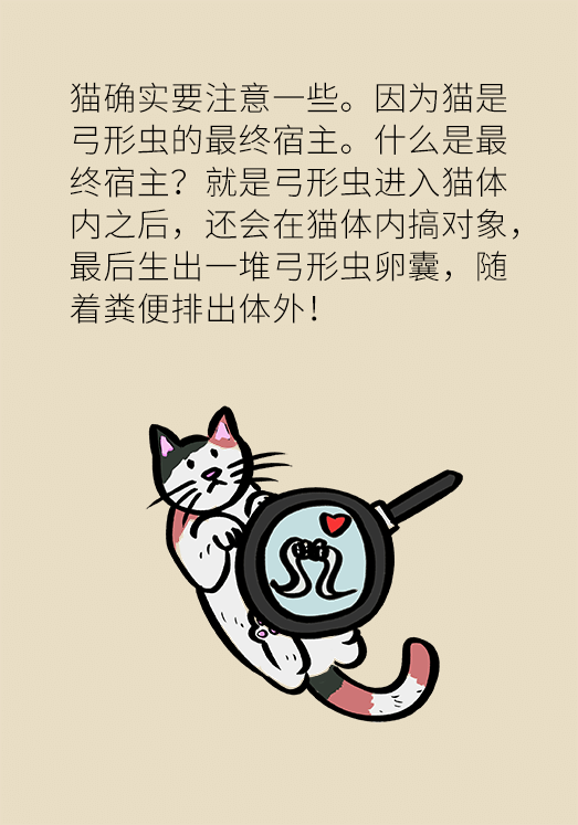懷孕了不能養(yǎng)貓狗？別再信這些謠言了