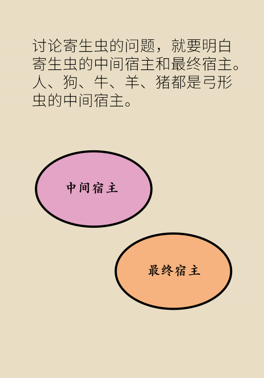 懷孕了不能養(yǎng)貓狗？別再信這些謠言了