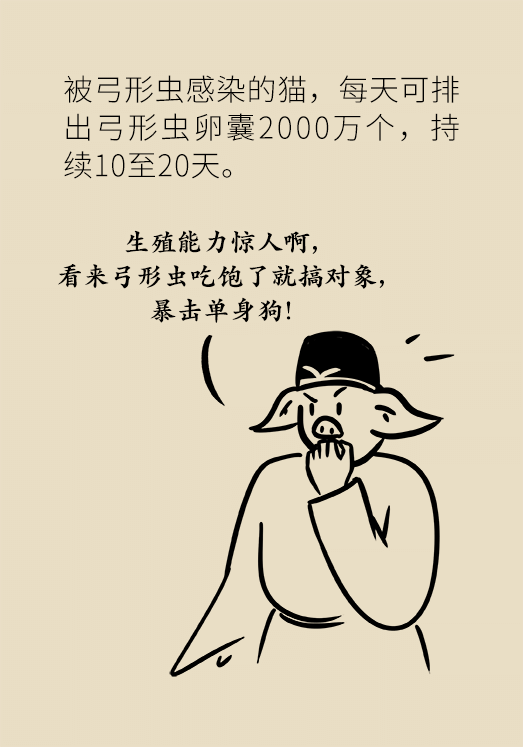 懷孕了不能養(yǎng)貓狗？別再信這些謠言了