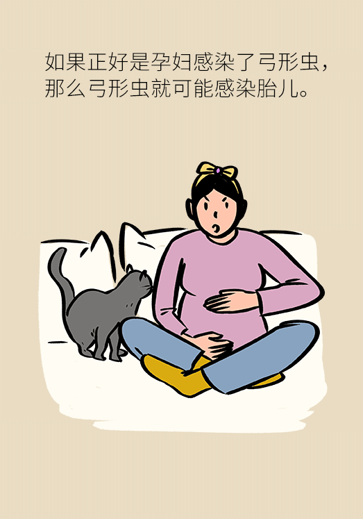 懷孕了不能養(yǎng)貓狗？別再信這些謠言了
