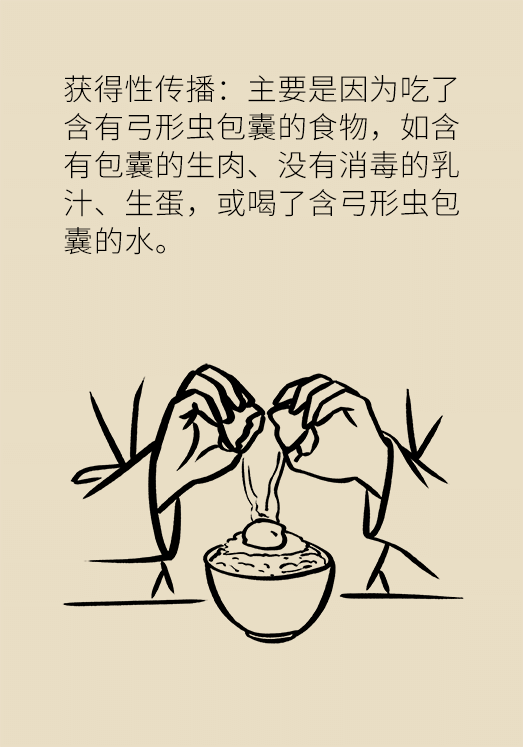 懷孕了不能養(yǎng)貓狗？別再信這些謠言了