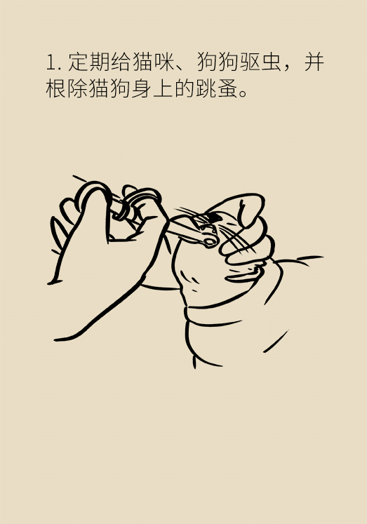 懷孕了不能養(yǎng)貓狗？別再信這些謠言了