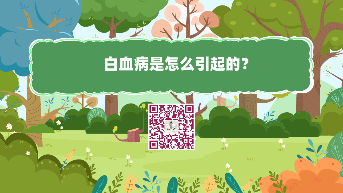 十萬個為什么標(biāo)題（白血病是怎么引起的？）1200.png