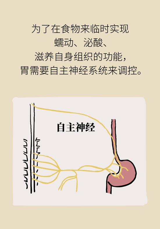 胃科普動(dòng)畫