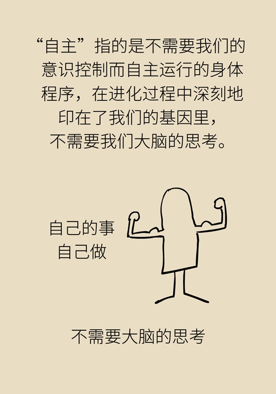 胃科普動(dòng)畫