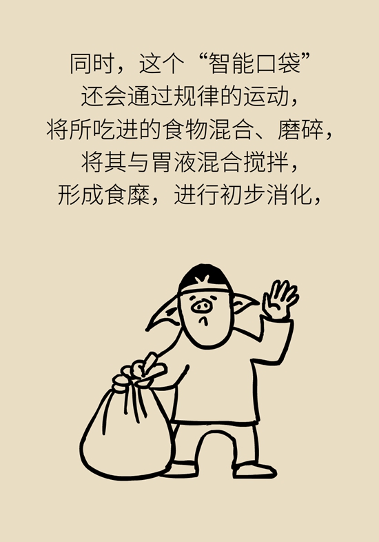 胃科普動(dòng)畫