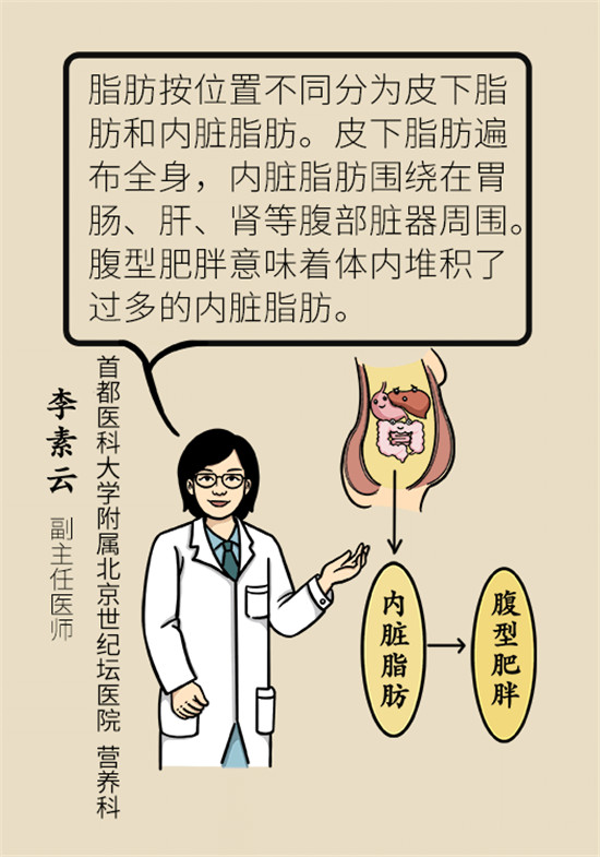 減肥醫(yī)學(xué)科普動漫制作