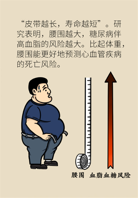 減肥醫(yī)學(xué)科普動漫制作