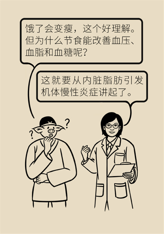 減肥醫(yī)學(xué)科普動漫制作