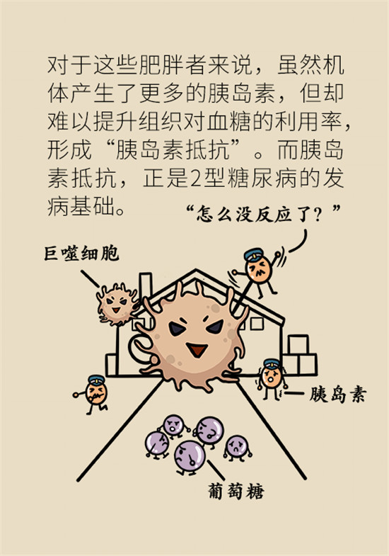 減肥醫(yī)學(xué)科普動漫制作