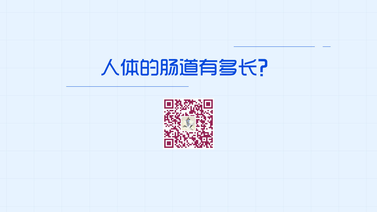 人體的腸道有多長(zhǎng)1200.jpg 人體的腸道有多長(zhǎng)1200.jpg