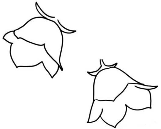 風(fēng)鈴草簡(jiǎn)筆畫(huà)_風(fēng)鈴草簡(jiǎn)筆畫(huà)怎么畫(huà)簡(jiǎn)單又漂亮
