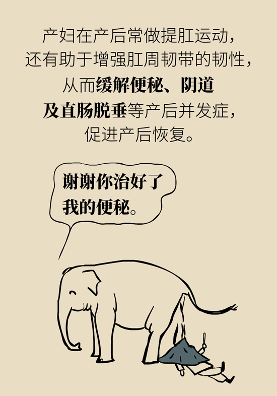 怎么做可以預(yù)防痔瘡呢？按摩前列腺、鍛煉盆底肌