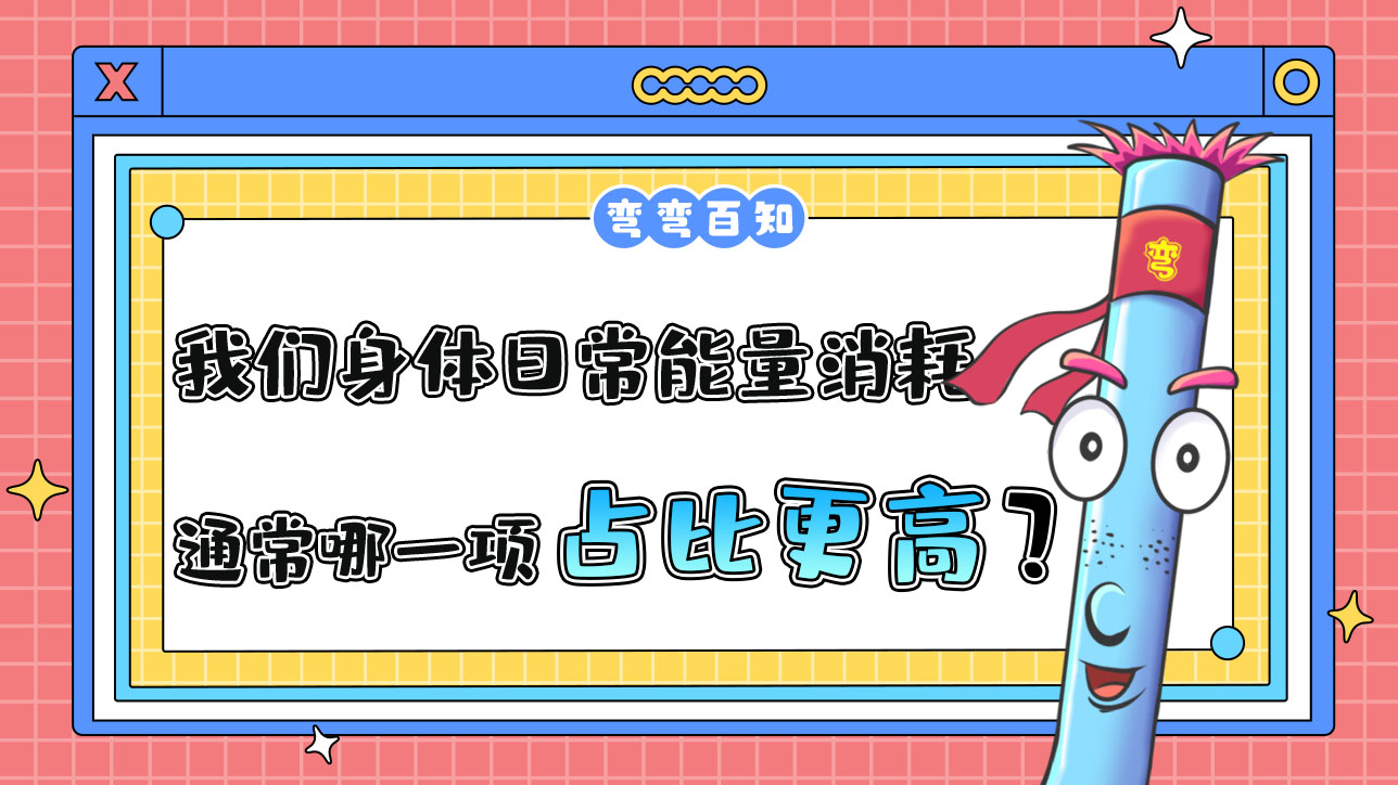 我們?nèi)粘Ｄ芰肯耐ǔＤ囊豁?xiàng)占比更高呢？.jpg