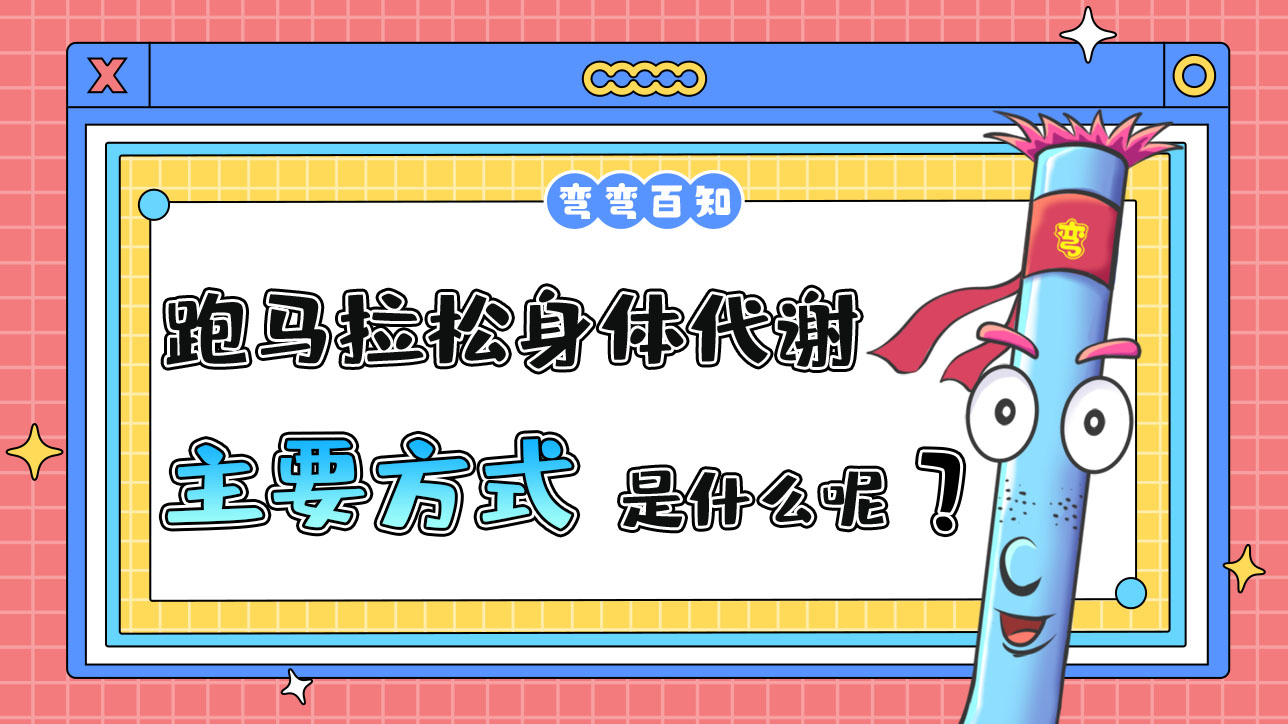 跑馬拉松身體代謝的主要方式是什么呢？.jpg