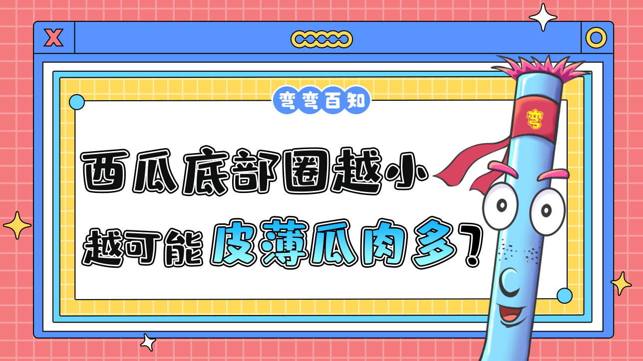 西瓜底部的圈越小可能皮薄瓜肉多嗎？.jpg