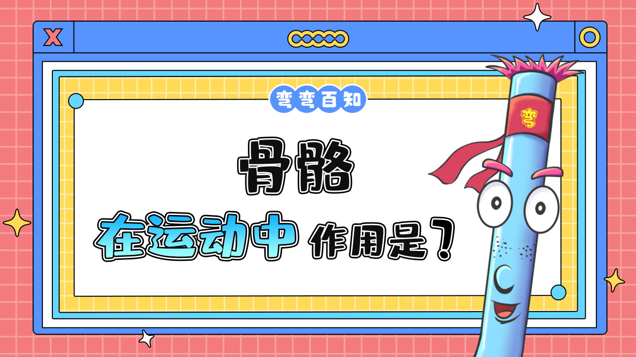骨骼在運(yùn)動(dòng)中的作用是什么呢？.jpg