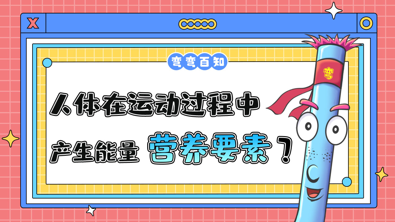 人體在運(yùn)動(dòng)過程中產(chǎn)生能量的營養(yǎng)要素有幾種？.jpg