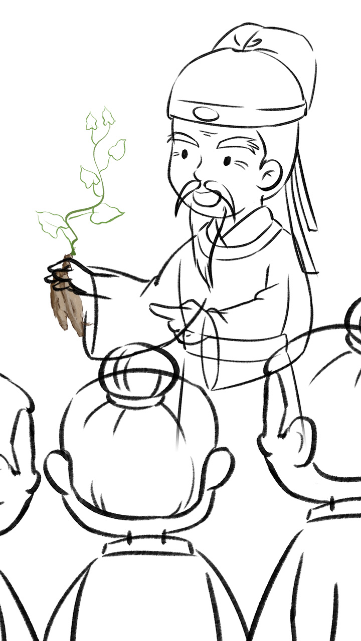 《遍問眾人，沒有一人能夠認(rèn)得這是什么植物！》線稿構(gòu)圖.jpg