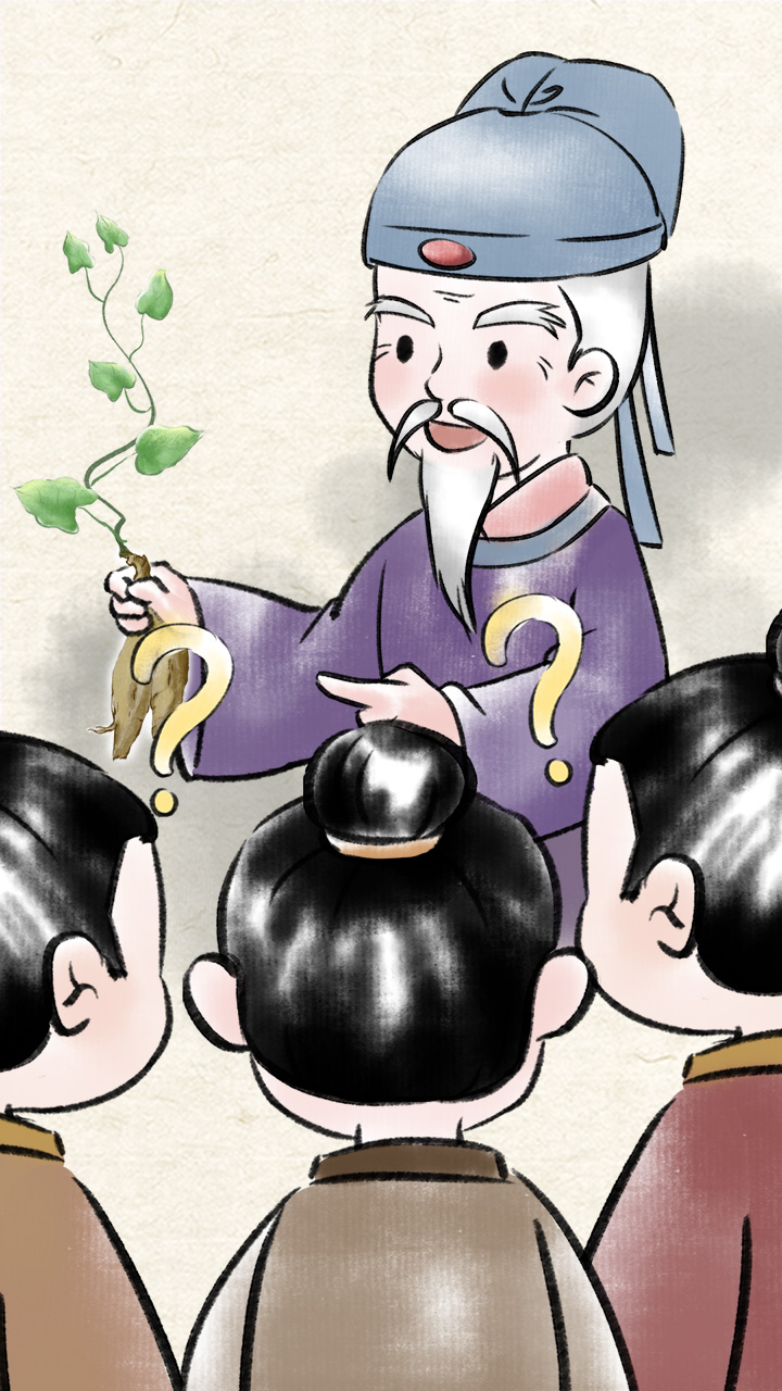 《遍問眾人，沒有一人能夠認(rèn)得這是什么植物！》線稿上色.jpg