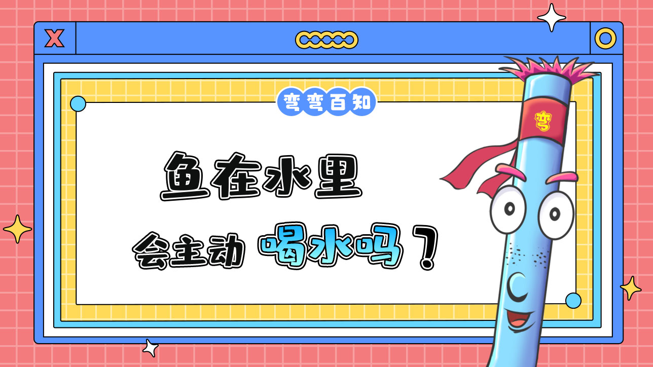 魚在水里會主動喝水嗎？.jpg