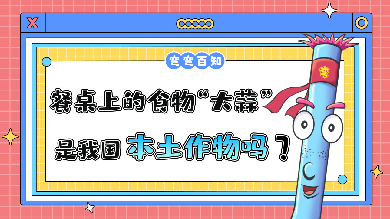 餐桌上的常見食物“大蒜”是我國本土作物嗎？.jpg