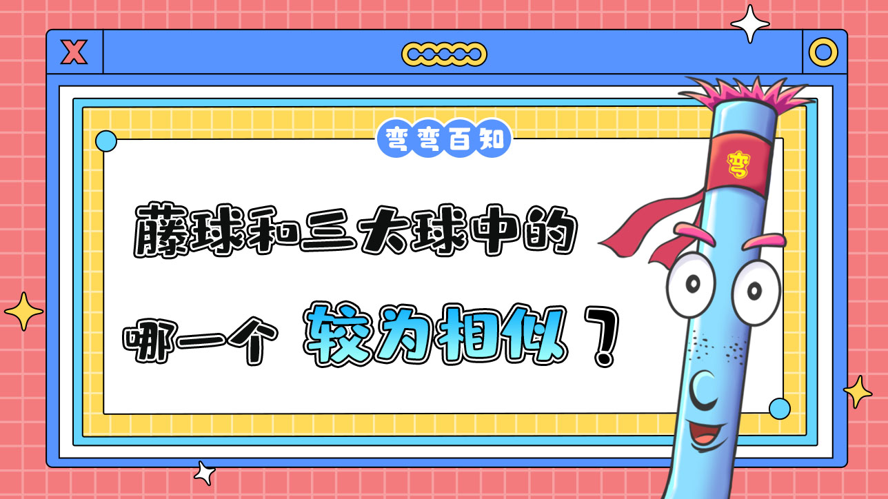 藤球和三大球中的哪一個較為相似？.jpg
