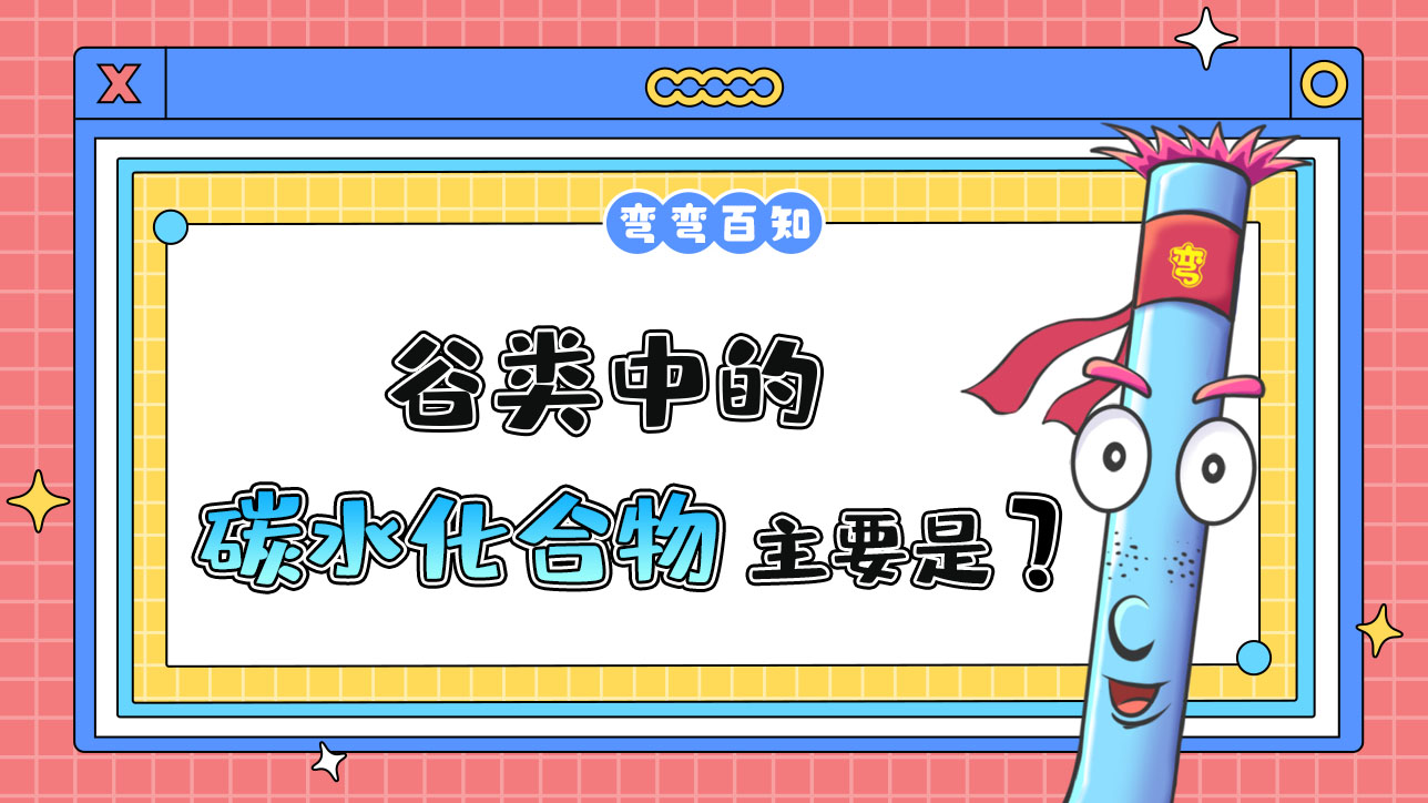 谷類中的碳水化合物主要是？.jpg