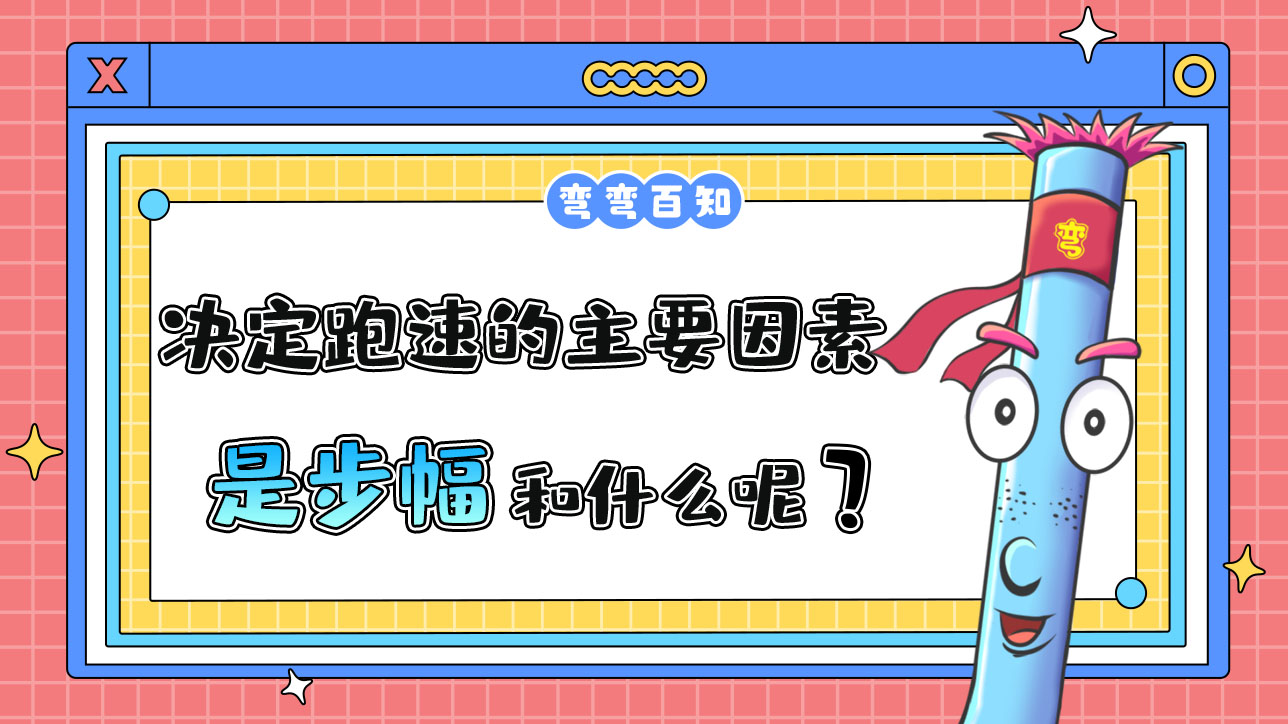 決定跑速的主要因素是步幅和什么？.jpg
