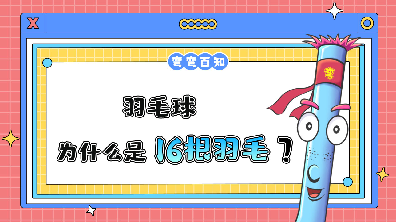 為什么羽毛球是16根羽毛？.jpg