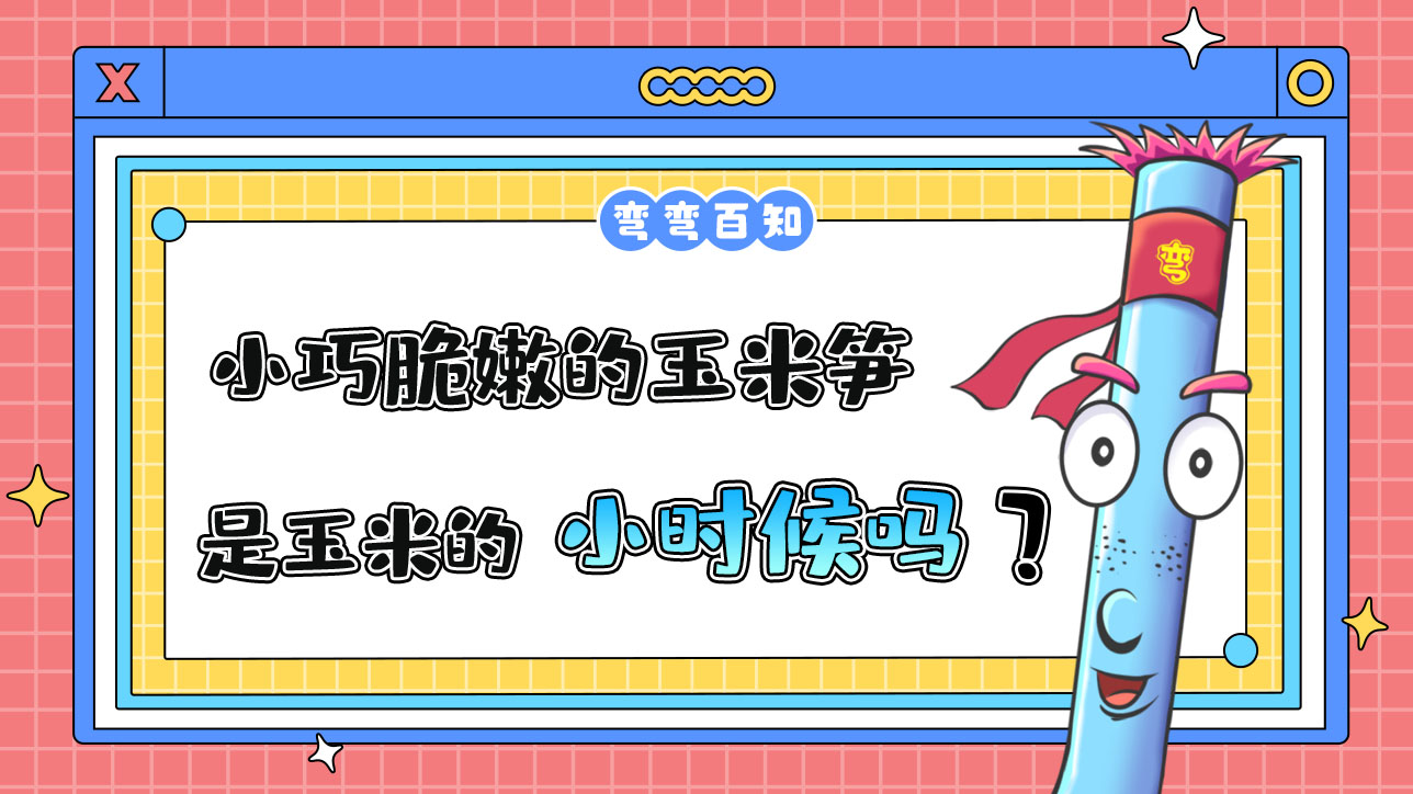 足球比賽中的“大四喜”是什么意思？.jpg