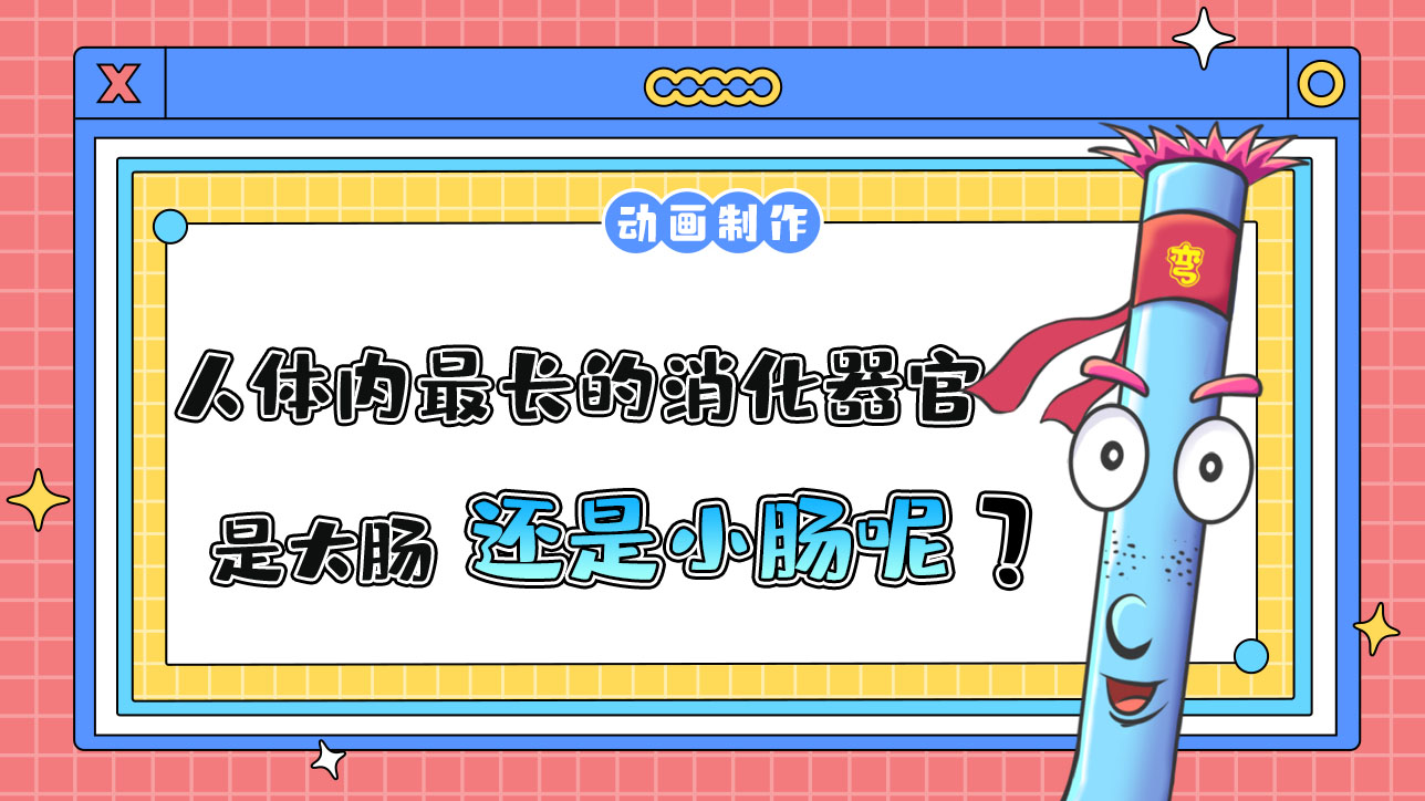 人體內(nèi)最長的消化器官是大腸還是小腸？.jpg