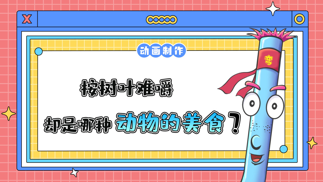 桉樹葉難嚼，卻是哪種動物的美食呢？.jpg