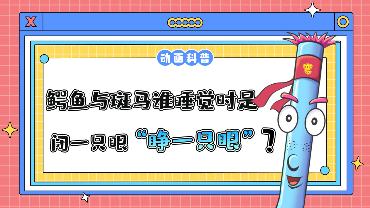 鱷魚與斑馬誰(shuí)睡覺(jué)時(shí)是“睜一只眼閉一只眼”？.jpg
